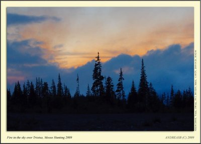 _DSC1594cs.jpg