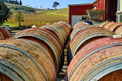 At the winery