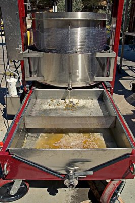 Pressing the grapes