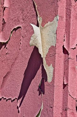 Peeling in Holbrook