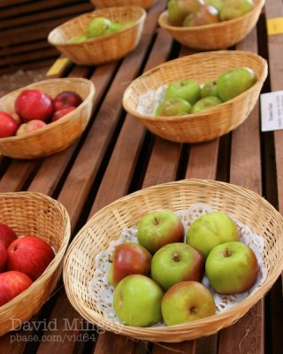 Sep 27: Cornish Apples