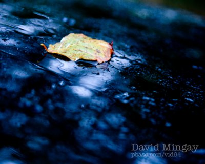 Oct 22: Out in the wet & wild