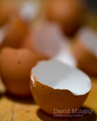 Nov 6: Eggshells