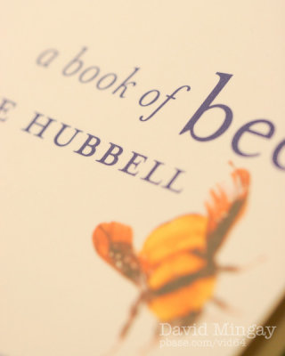 Jun 20: Bee book