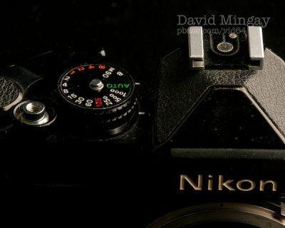 Jun 29: Nikon??