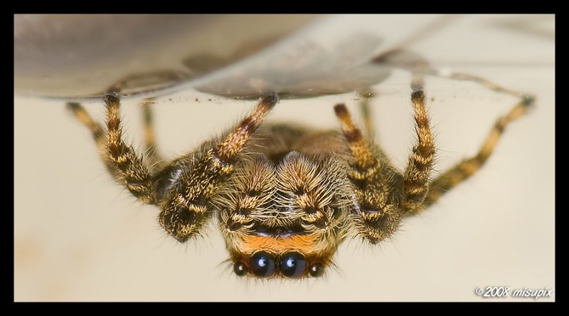 Upside Down
