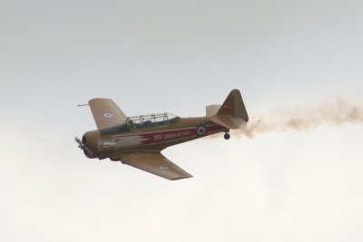 g5/02/371402/3/100462539.WkgmYWjr.jpg