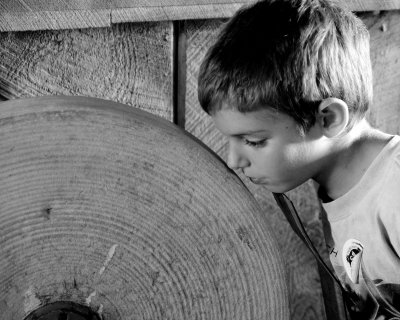 Nose to the Grindstone (LaRee) 5
