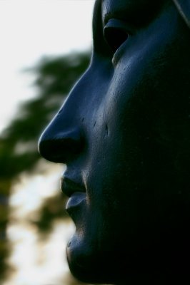 Face