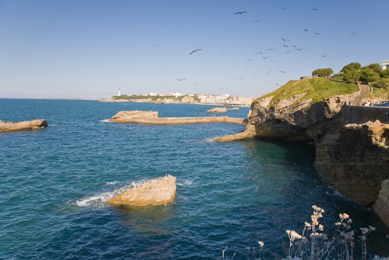 The coastline