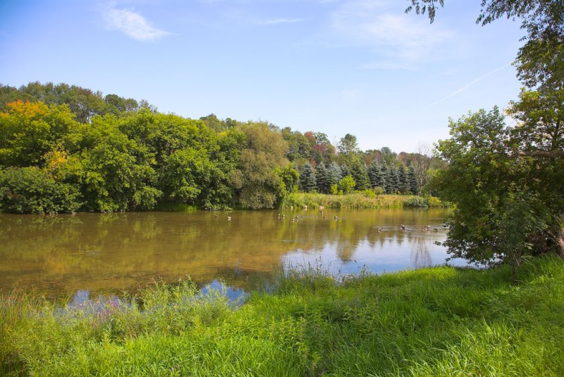 Caledonia - River Grand