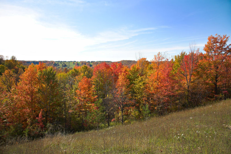 Beaver Valley