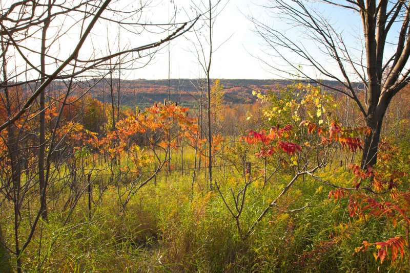 Beaver Valley