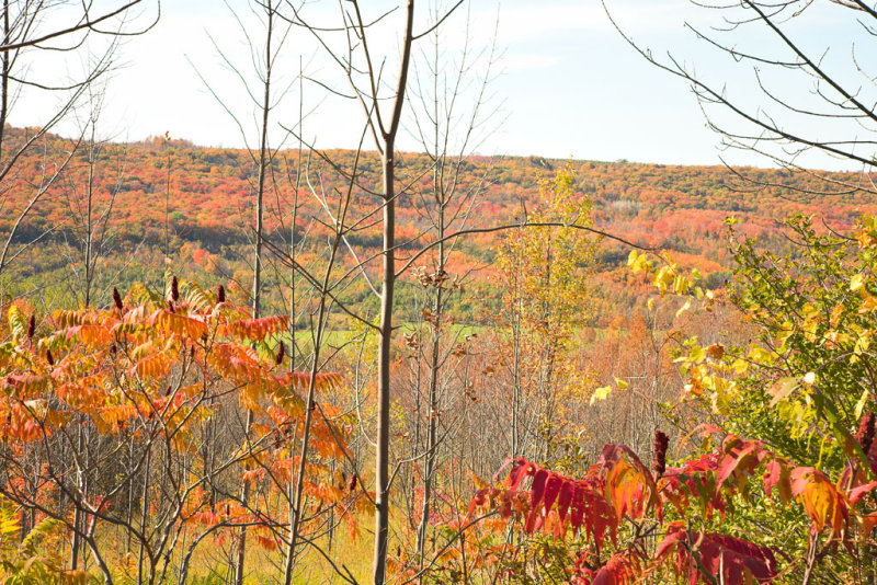 Beaver Valley