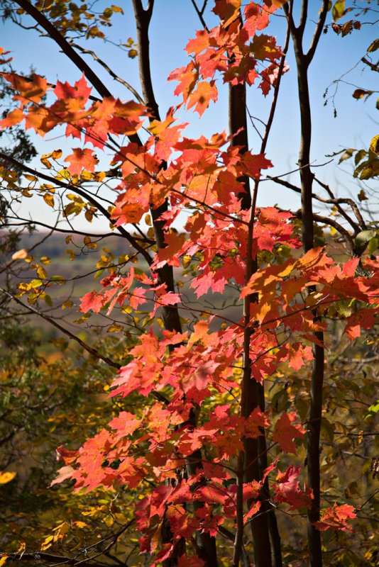 Rattlesnake Point