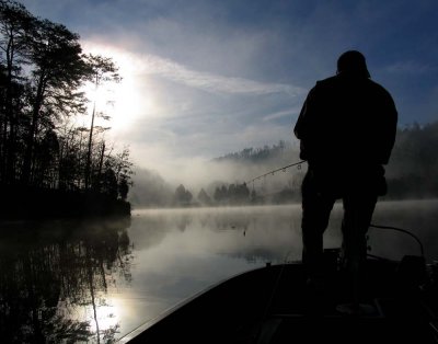 Scanning the lake II