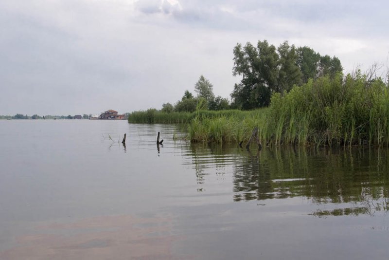 Giethoornseplas.