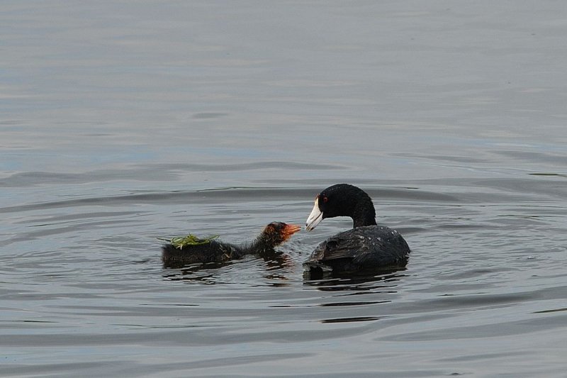 DSC_3772.jpg