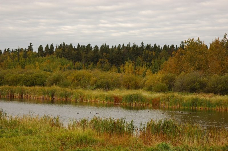 DSC_2739.jpg