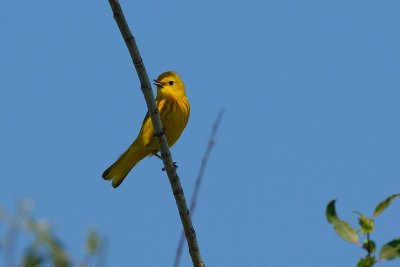 DSC_3591.jpg