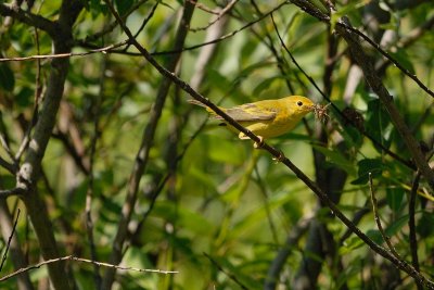 DSC_3601.jpg