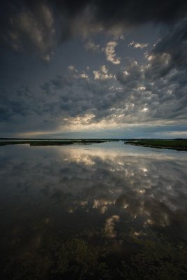 DSC_3878.jpg