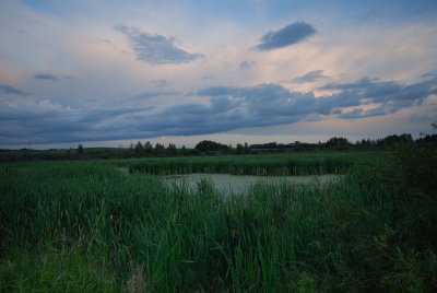 DSC_4408.jpg