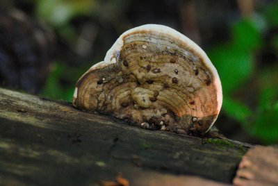 DSC_4847.jpg