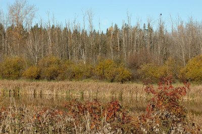 DSC_2961.jpg