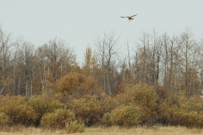 DSC_3066.jpg