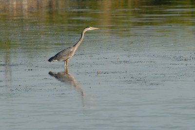 DSC_2914.jpg
