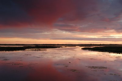 DSC_3023.jpg