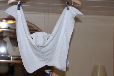 Dreaded Bat Towels!