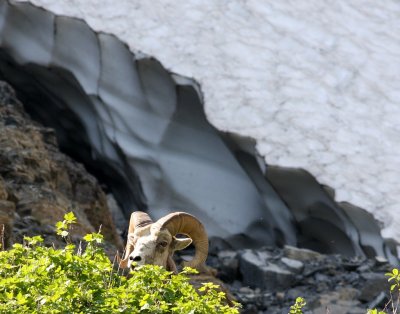 IMG_2040.jpg