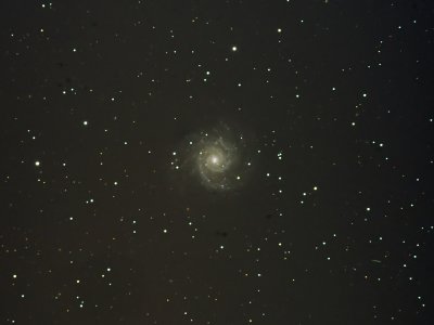 M74 - Galaxy in Pisces 08-Nov-2009