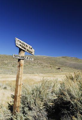 _DSC9336.jpg