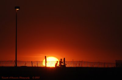 Misc_DSC4692.jpg