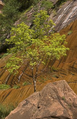 Narrows 001.jpg