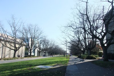 DSCF6729.JPG