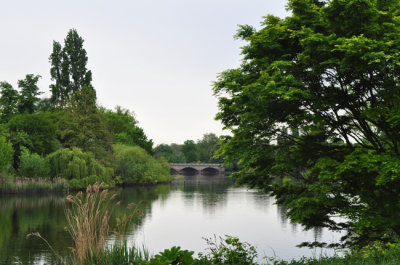 Serenity of Hyde Park