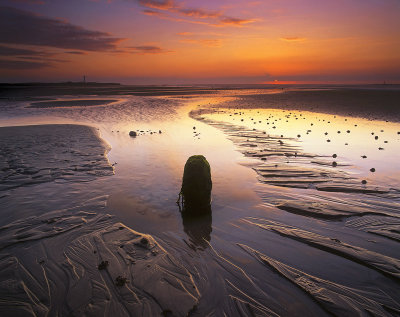 Lossiemouth Blush