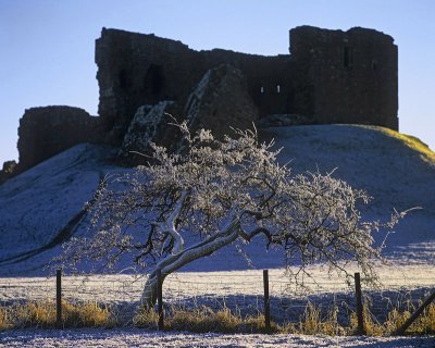 Hawthorn and Castle