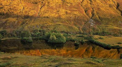 Etive Gold