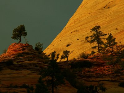 Zion National Park