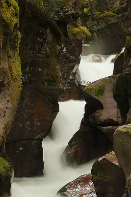 0C9K0358Avalanche Gorge  June26-08.jpg