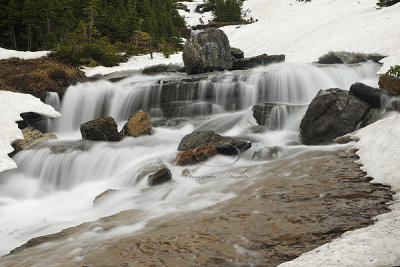 0C9K1506 Logan's Pass WF July2-08.jpg