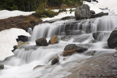 0C9K1517 Logan's Pass WF July2-08.jpg