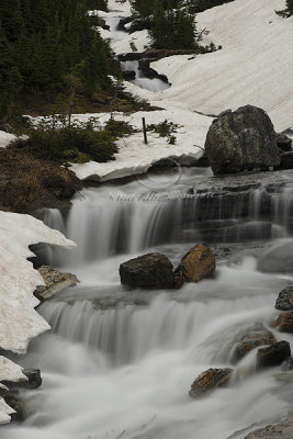 0C9K1539 Logan's Pass WF July2-08.jpg