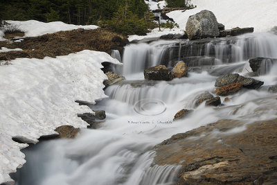 0C9K1664 Logan's Pass WF July2-08.jpg