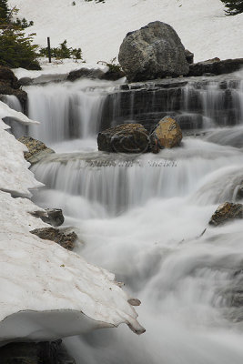 0C9K1709 Logan's Pass WF July2-08.jpg